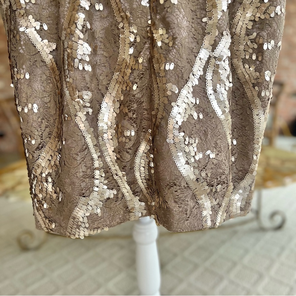 Adrianna Papell Taupe Champagne Lace Sequin Peplum Dress 14 Cocktail Glam - Picture 13 of 14